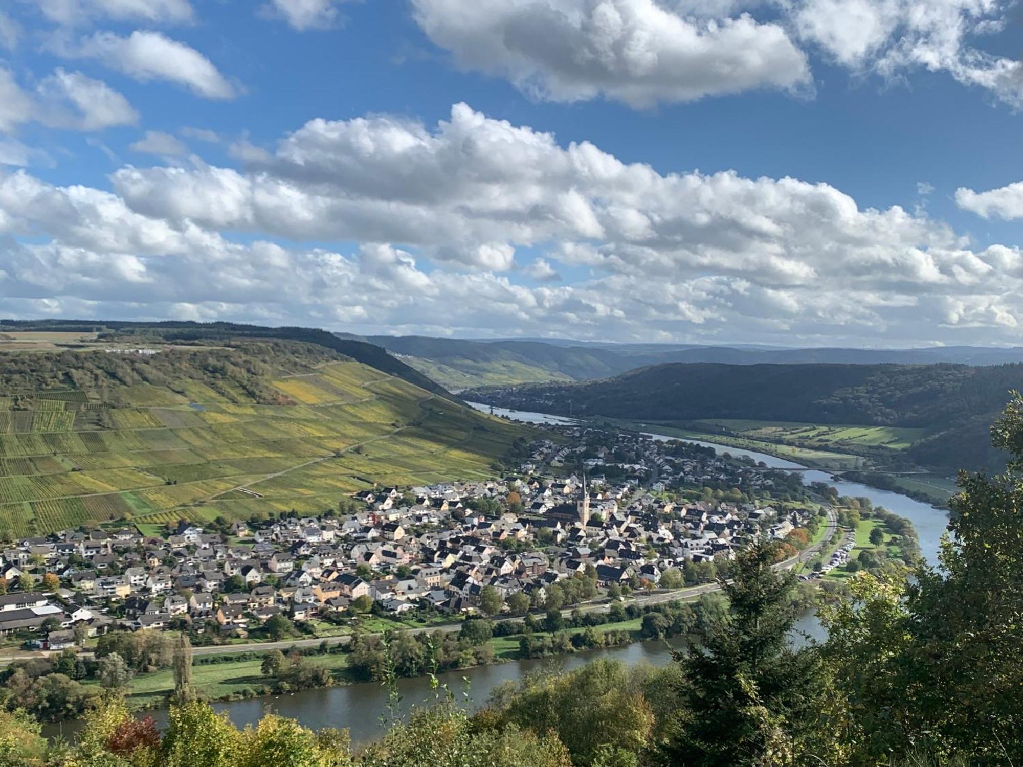 Hotel Weinhof Michael Morbach Zeltingen-Rachtig Zewnętrze zdjęcie